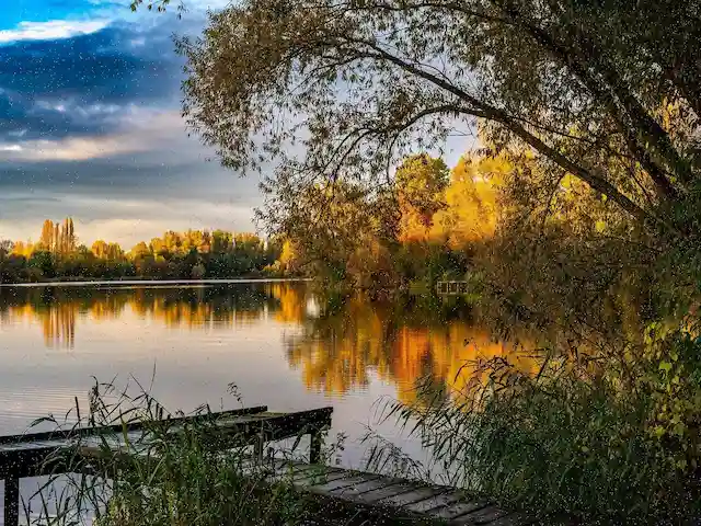 دانلود آهنگ آخرین برگهای پاییزی